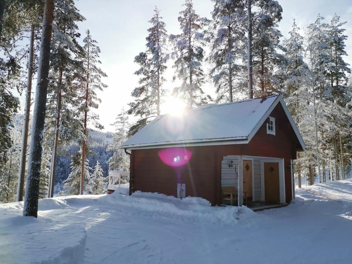 Zorbcenter Holiday Homes Hammarstrand Zewnętrze zdjęcie